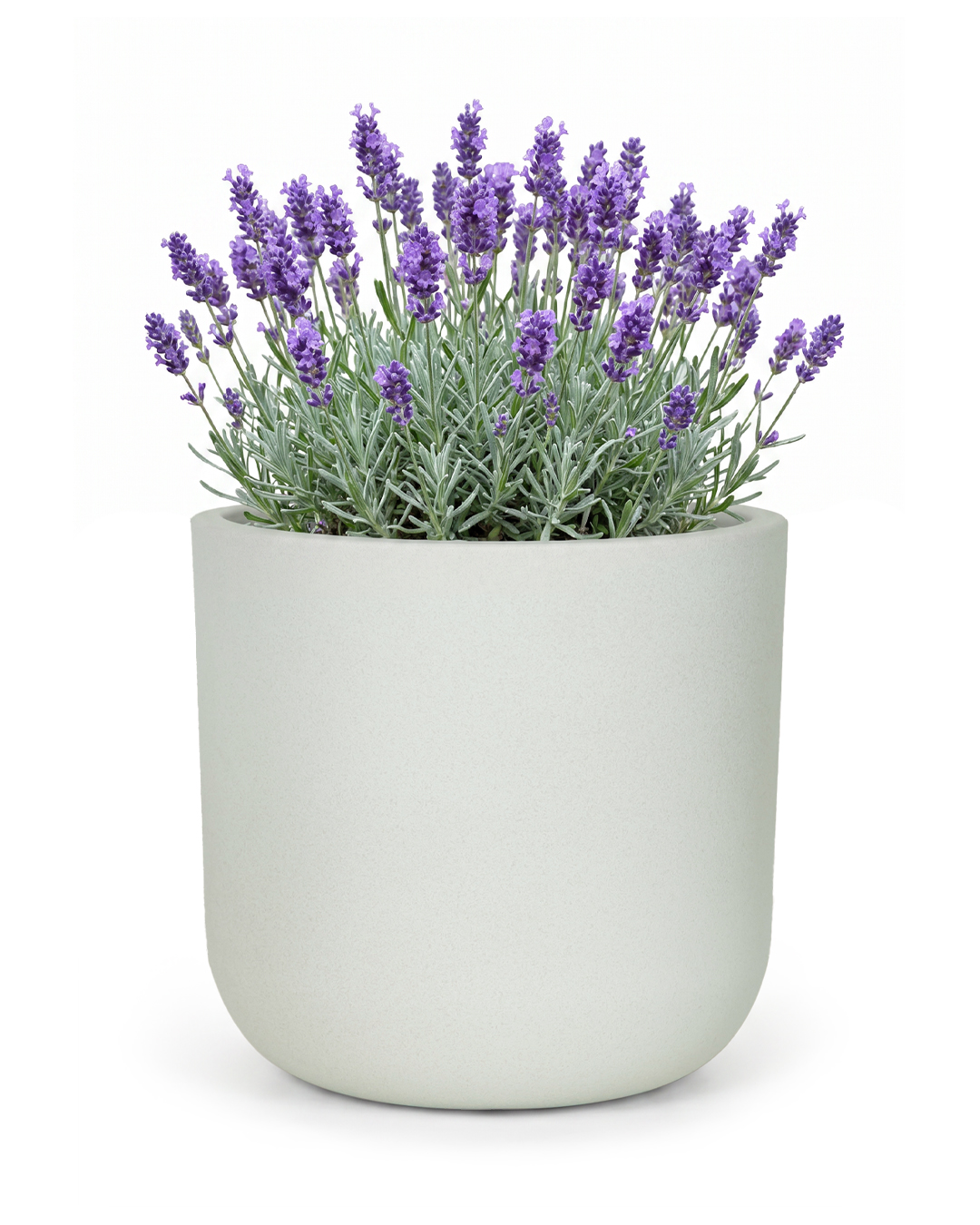 Pot de fleurs rond en plastique - Elegante White - gris clair, mat, pour jardin et terrasse