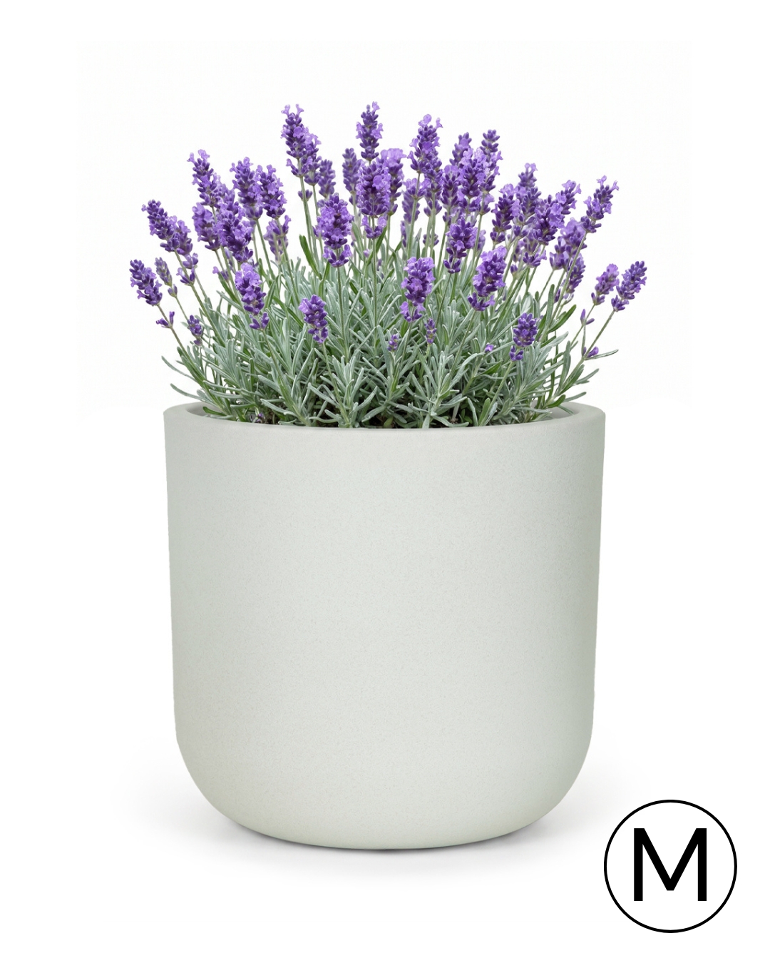 Pot rond de jardin / terrasse 36 cm x 36 cm x 35 cm - Elegante M - pot en plastique, gris clair, mat