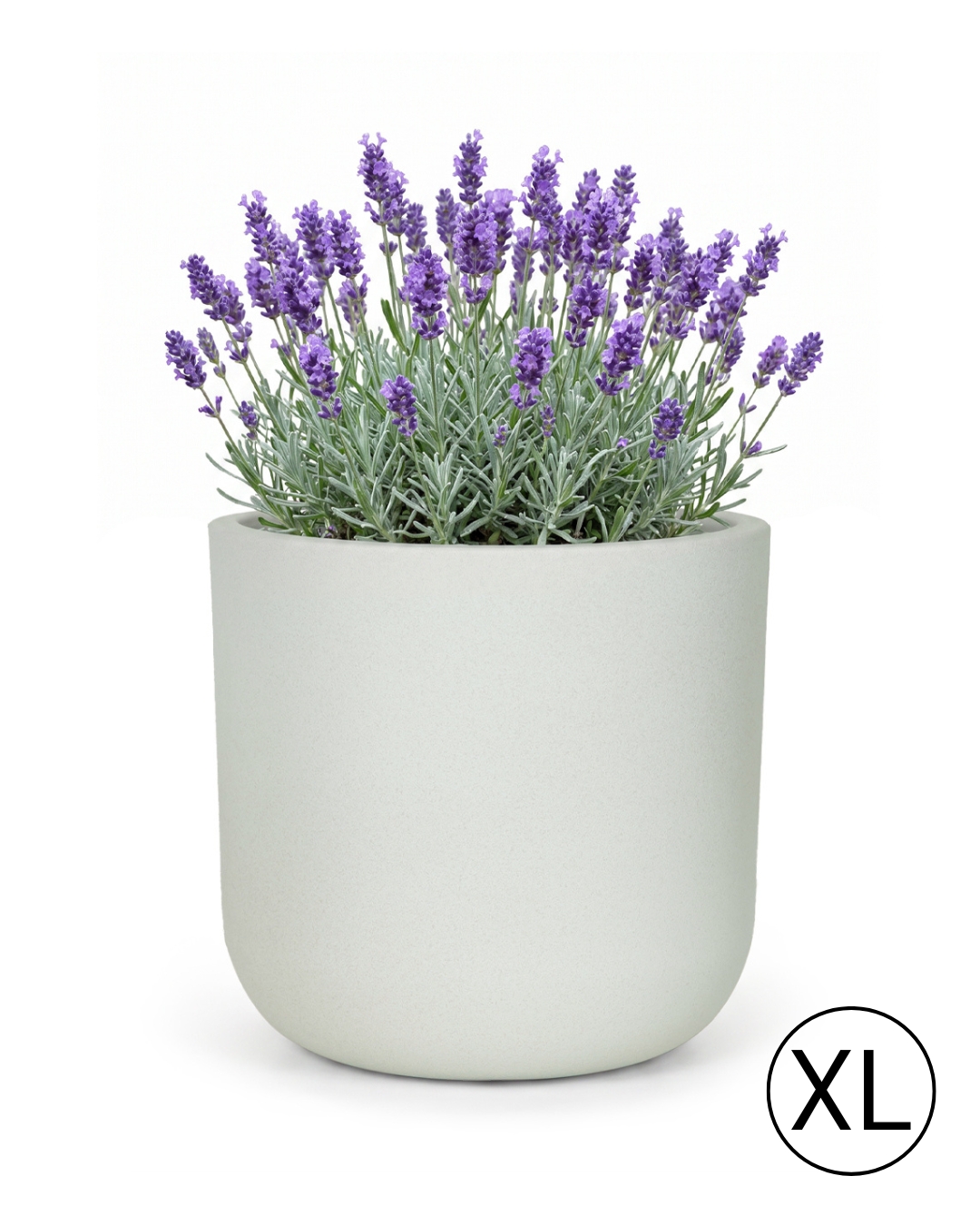Pot rond de jardin / terrasse 56 cm x 56 cm x 54 cm - Elegante XL - pot en plastique, gris clair, mat