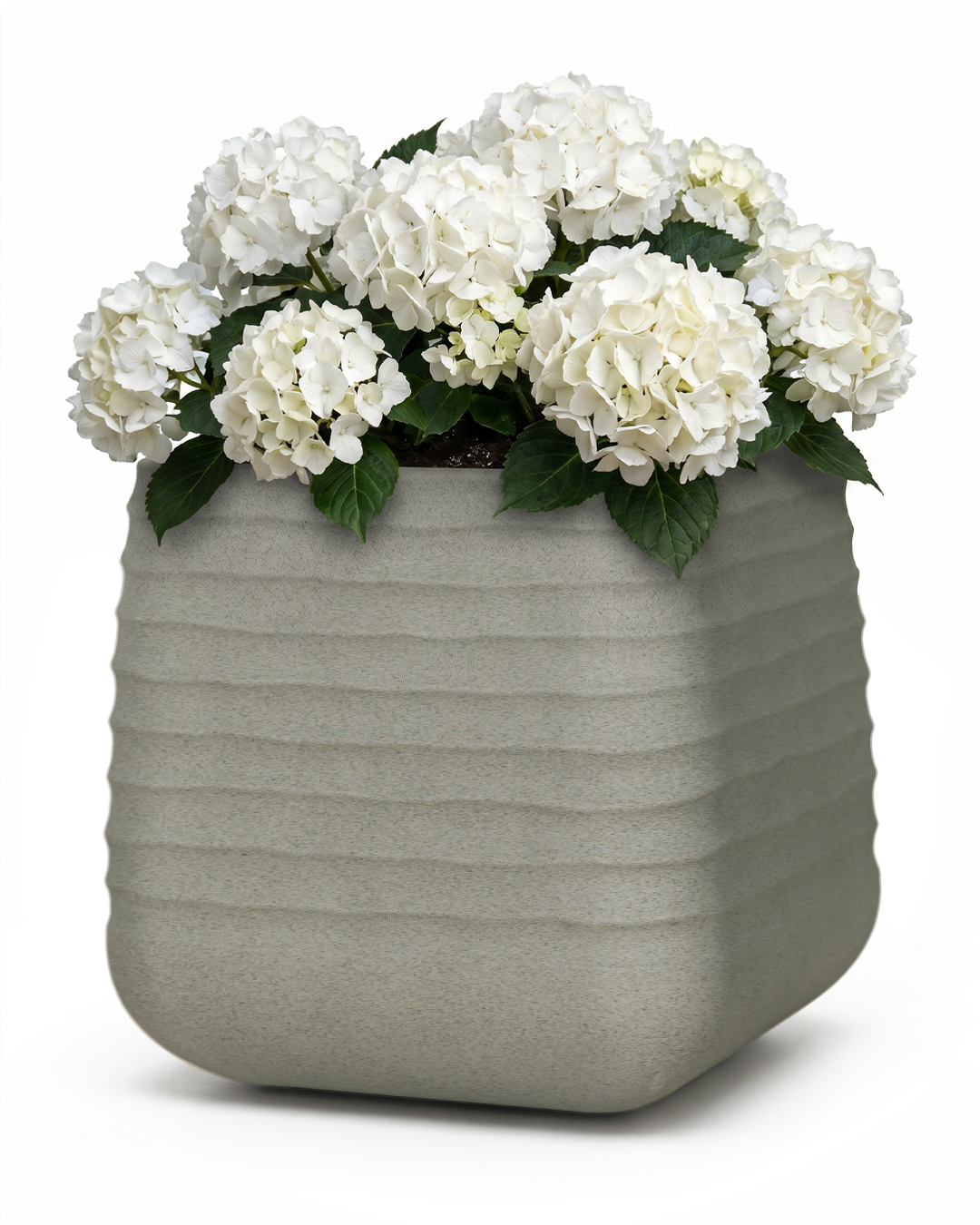 Pot de fleurs carré de jardin - Erba Grey - gris, mat, rainuré, pour jardin et terrasse