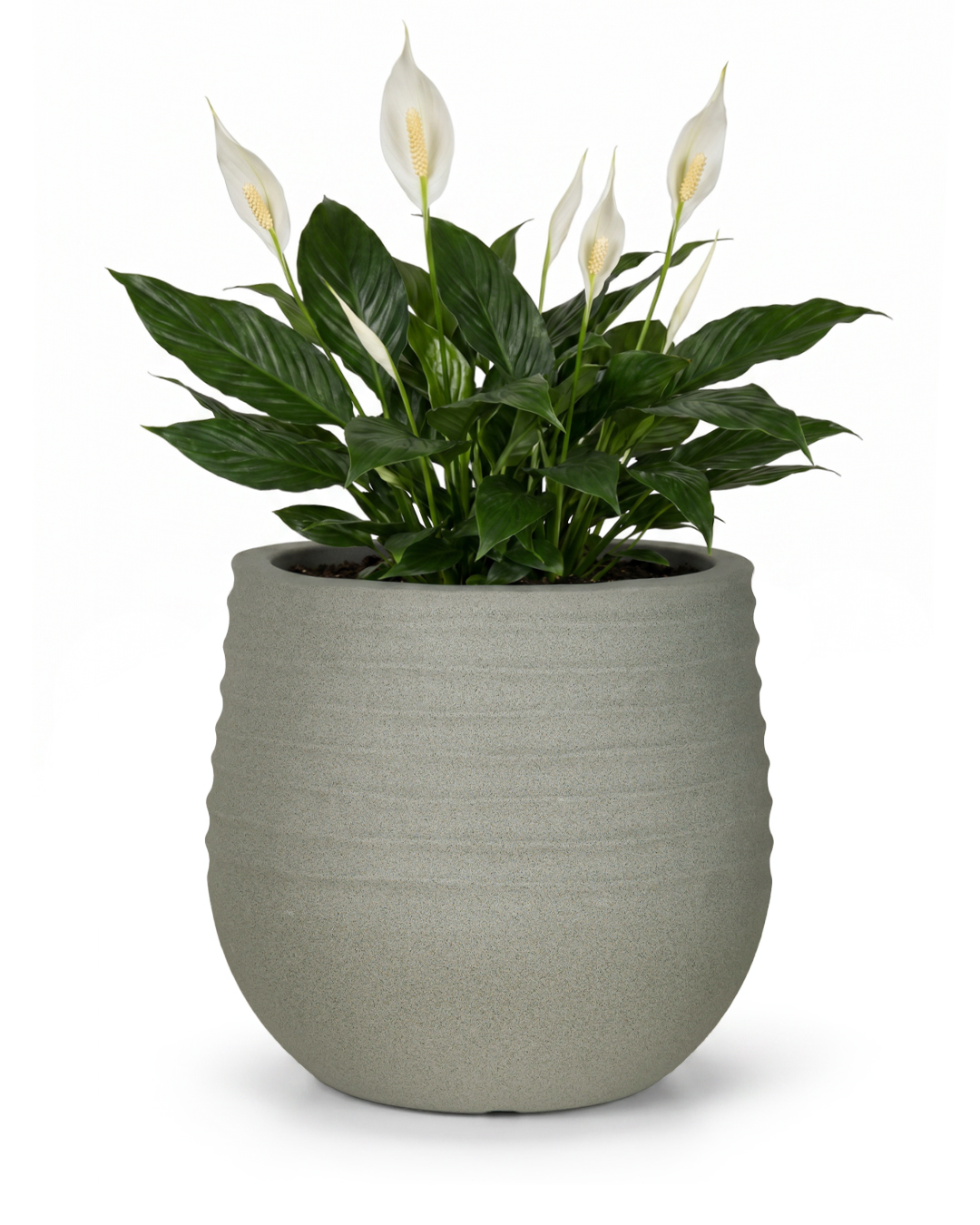 Pot de fleurs rond en plastique - Terra Grey - gris, mat, rainuré, pour jardin et terrasse