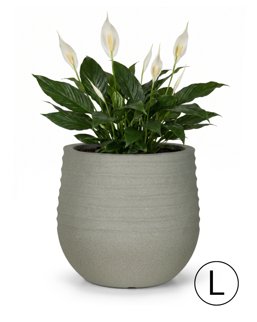 Pot rond de jardin / terrasse 54 cm x 54 cm x 49,5 cm - Terra L - pot en plastique, gris, mat, rainuré