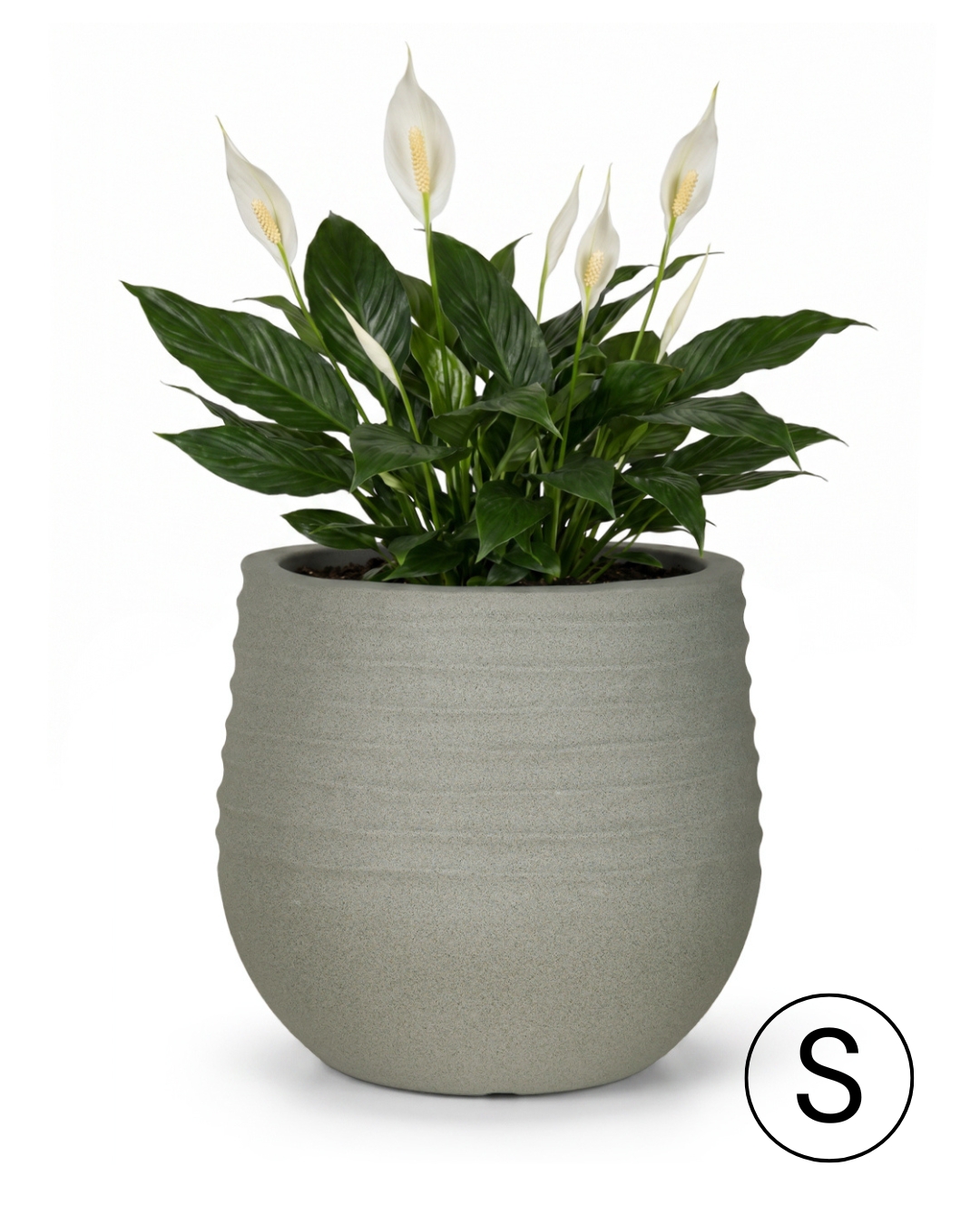 Pot rond de jardin / terrasse 31 cm x 31 cm x 28 cm - Terra S - pot en plastique, gris, mat, rainuré