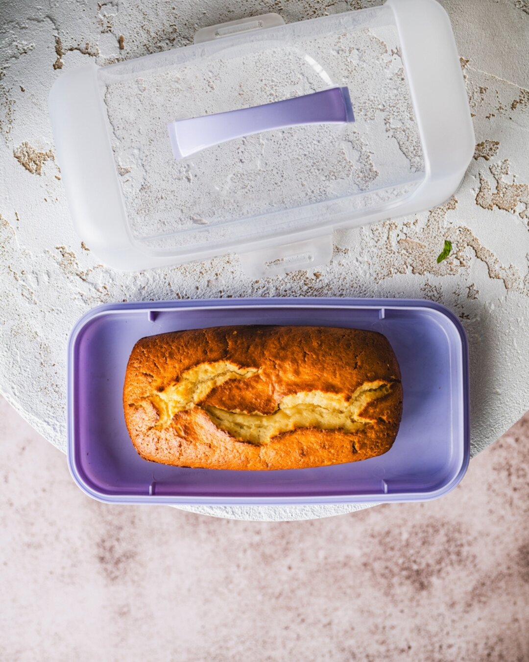 Boîte rectangulaire pour gâteau avec couvercle 34 x 19 x 3,5 cm – Forno Perme – violet, transparent, plastique