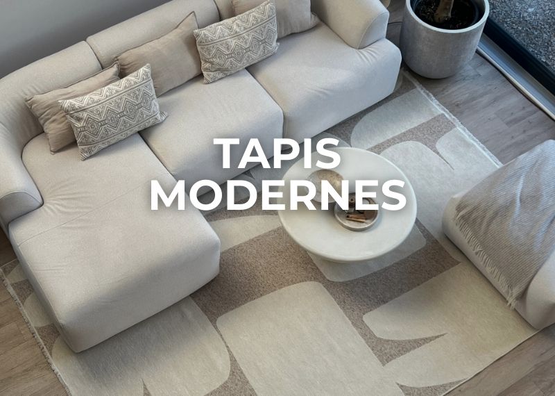 Tapis modernes